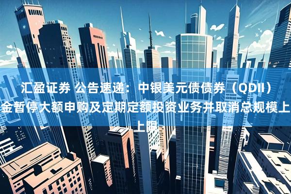 汇盈证券 公告速递：中银美元债债券（QDII）基金暂停大额申购及定期定额投资业务并取消总规模上限