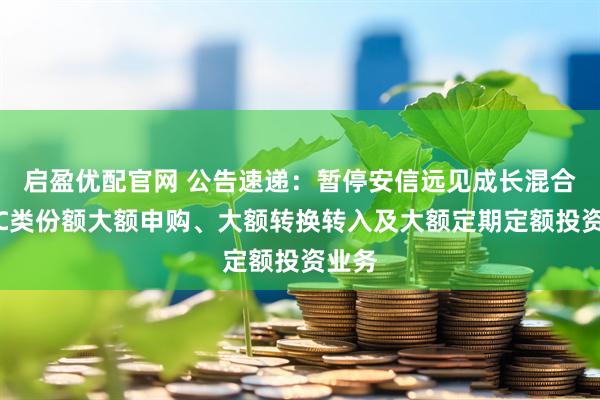启盈优配官网 公告速递：暂停安信远见成长混合基金C类份额大额申购、大额转换转入及大额定期定额投资业务