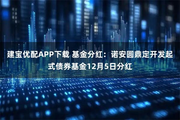 建宝优配APP下载 基金分红：诺安圆鼎定开发起式债券基金12月5日分红