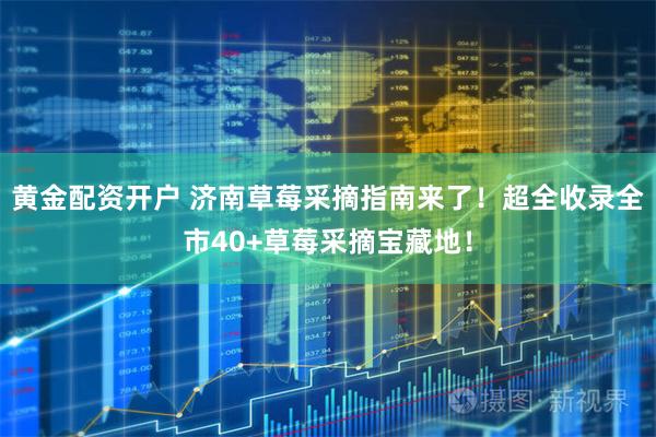 黄金配资开户 济南草莓采摘指南来了！超全收录全市40+草莓采摘宝藏地！